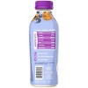 Bolthouse Farms Nut Butter Protein Plus Blueberry Vanilla Shake - 15.2 fl oz - 4 of 4