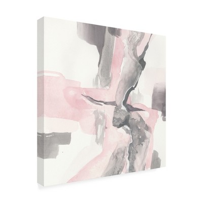 Trademark Fine Art -Chris Paschke 'Blushing Grey I' Canvas Art
