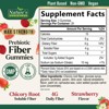 Fiber Gummies for Adults, Daily Prebiotic Fiber Supplement 4g - Digestive Health - 60 Gummies By Nature's Gummies - 2 of 4