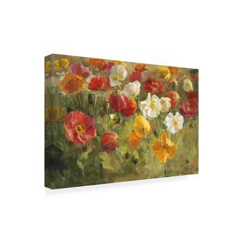 Trademark Fine Art -Danhui Nai 'Poppy Field Painting' Canvas Art