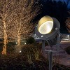 C Cattleya Outdoor LED Landscape Spotlight with Ground Stakes for Garden Pathway and Courtyard - 2 of 4