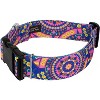Country Brook Petz HossFit Jr Wide Deluxe Dog Collar - Groovy Collection - 2 of 4