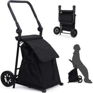 2 in 1 Shopping Cart, 2 Wheels Grocery Cart with Seat, 123L Large Capacity Waterproof Bag, Portable Trolley Dolly Utility Cart, 132 LBS Load Capacity - 1 of 4