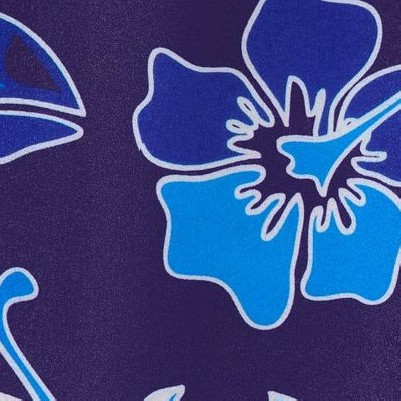 blue hawaii