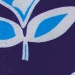 blue hawaii