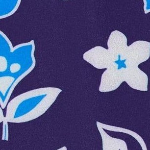 blue hawaii