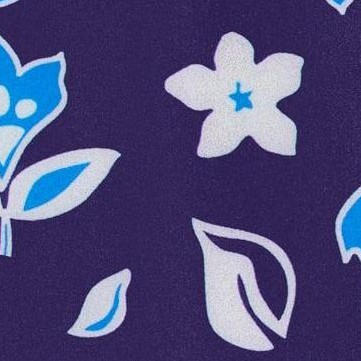 blue hawaii