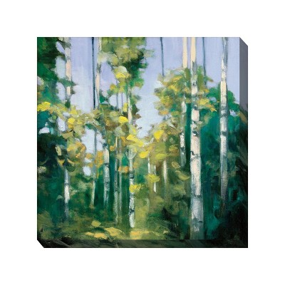 Cottage Garden West of The Wind Creek Birches Green, Yellow, White 24 x 24 Inch Waterproof Gallery Wrapped Canvas, Outdoor Garden, Yard, Patio All