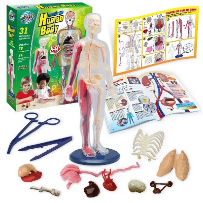 Wild! Science Hands-On Human Body Science Kit_4