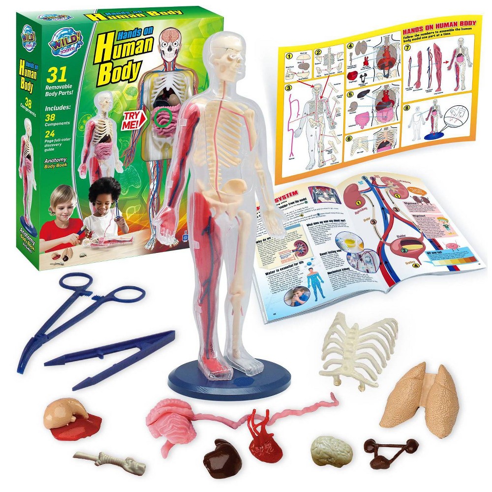 Wild! Science Hands-On Human Body Science Kit