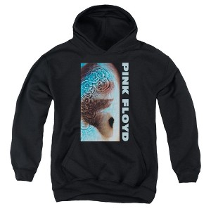 Boys’ Pink Floyd Meddle Hooded Sweatshirt - 1 of 4