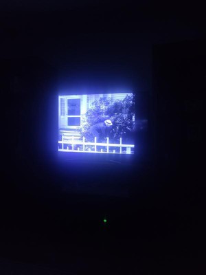 Guest review image 1 of 1, zoom in