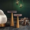 TOV Furniture Alo 20.5"H Small Modern Glass and Iron Side Table in Pink/Gold - 2 of 4