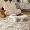 Rug Branch Hogar Abstract Modern Indoor Outdoor Area Rug - 3 of 4
