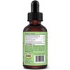 Milk Thistle, Liver and Kidney Support for Pets, Detox and Hepatic Support, with Wild Alaskan Salmon Oil & Curcumin Omega 3 EPA & DHA - 2 of 3