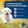 Blue Buffalo Life Protection Chicken & Oatmeal Recipe Small Breed Puppy Dry Dog Food - image 4 of 4