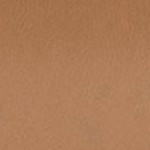 Camel | Natural Wood