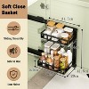 TROPOW Under Sink Storage Organiser, 2 Tier Carbon Steel Pull Out Cabinet Organizer Rack with Sliding Basket, Under Sink Slide Out Storage Shelf - 2 of 4