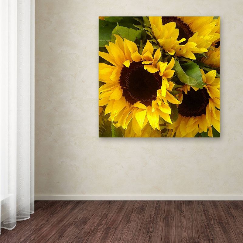 24&#34; x 24&#34; Sunflowers by Amy Vangsgard - Trademark Fine Art, 4 of 6