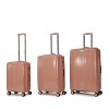 Vynxaria 3-Piece Luggage Set (20/24/28) Spinner Wheels for Men Women Lightweight Durable for Family Business Travel - 3 of 4