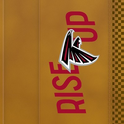 atlanta falcons