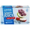 Capri Sun 100% Fruit Punch Juice - 10pk/6 Fl Oz Pouches : Target