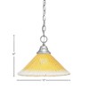 Toltec Lighting Any 1 - Light Pendant in  Brushed Nickel with 12" Gold Champagne Crystal Shade - 2 of 2
