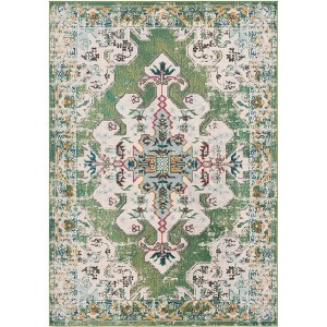 Madison MAD452 Non-Shedding Power Loomed Indoor Rugs - Safavieh - 1 of 4