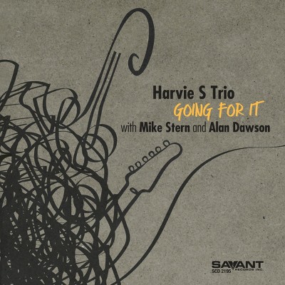 HARVIE S TRIO - GOING FOR IT (CD)