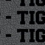 memphis tigers