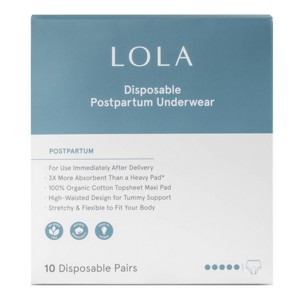 LOLA Postpartum Underwear with Organic Cotton Maxi Pad - 10ct - 1 of 4