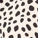 soft beige black dot