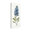 Trademark Fine Art -Anne Tavoletti 'Texas Bluebonnet Iv' Canvas Art - 4 of 4