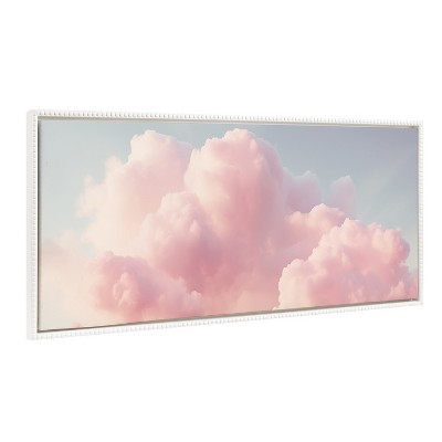 12x18 framed photo - pink 2024 sunset clouds