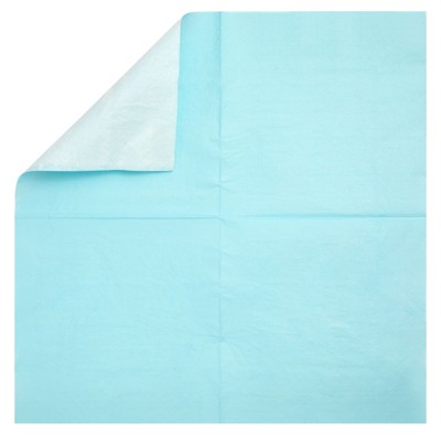 Light Blue Disposable Party Supplies Set for Graduation, Serves 24