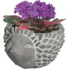 Classic Home and Garden Cement Buddies Indoor/Outdoor Planter with Drainage Hole, Hedgehog - 2 of 4