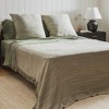 Crane Home | Sage Fringe Euro Sham Set - Euro - 3 of 4