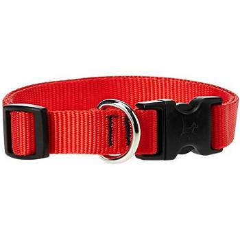 LupinePet Basic Solids Red Red Nylon Dog Adjustable Collar