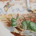 american paint horse