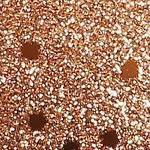 sequin
