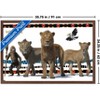 Trends International Disney Mufasa: The Lion King - Group Framed Wall Poster Prints - 3 of 4