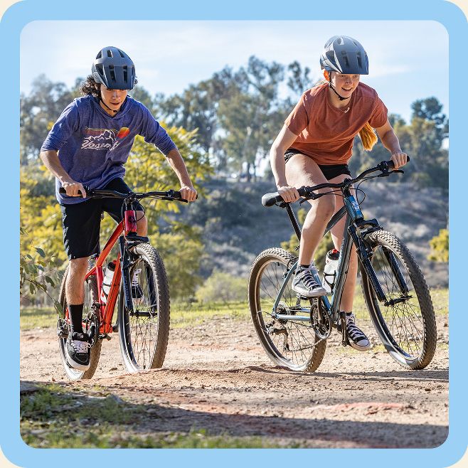 Schwinn Target