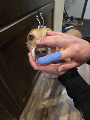 Guest review image 1 of 3, zoom in