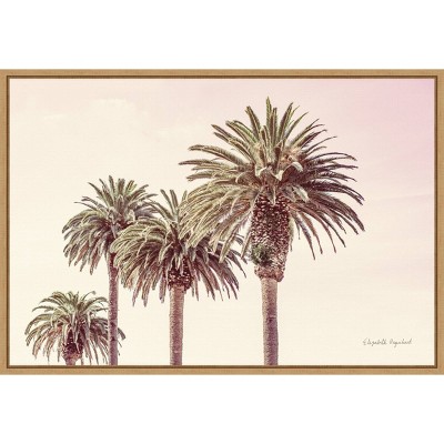 23" x 16" Pastel Palms by Elizabeth Urquhart Framed Wall Canvas - Amanti Art