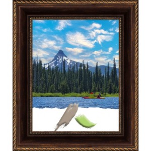 Amanti Art Corded Bronze Picture Frame - 1 of 4
