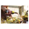 Prophecy Cabernet Sauvignon Red Wine - 750ml Bottle - 3 of 3