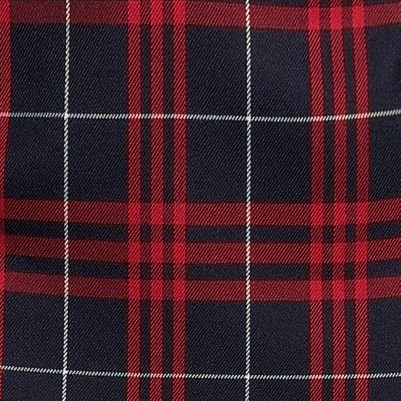 classic navy large plaid