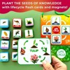 QUOKKA Life Cycle Kit Toy Montessori - 30 Flash Cards Toddler Science Activities for Kids Ages 2-4 - Prek Animal Learning Materials 3-5 - 120 Magnetic - 4 of 4