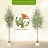 Olive Trees Artificial Indoor,Tall Olive Tree Plants,Double rod shape,Faux Olive Tree with Realistic Trunk,Leaves,Fruits for Home Decor - 4 of 4