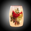 Stony Creek 5.75 In Pine Bough & Birds Pre-Lit Vase Electric Lighted Vase Novelty Sculpture Lights - 2 of 3